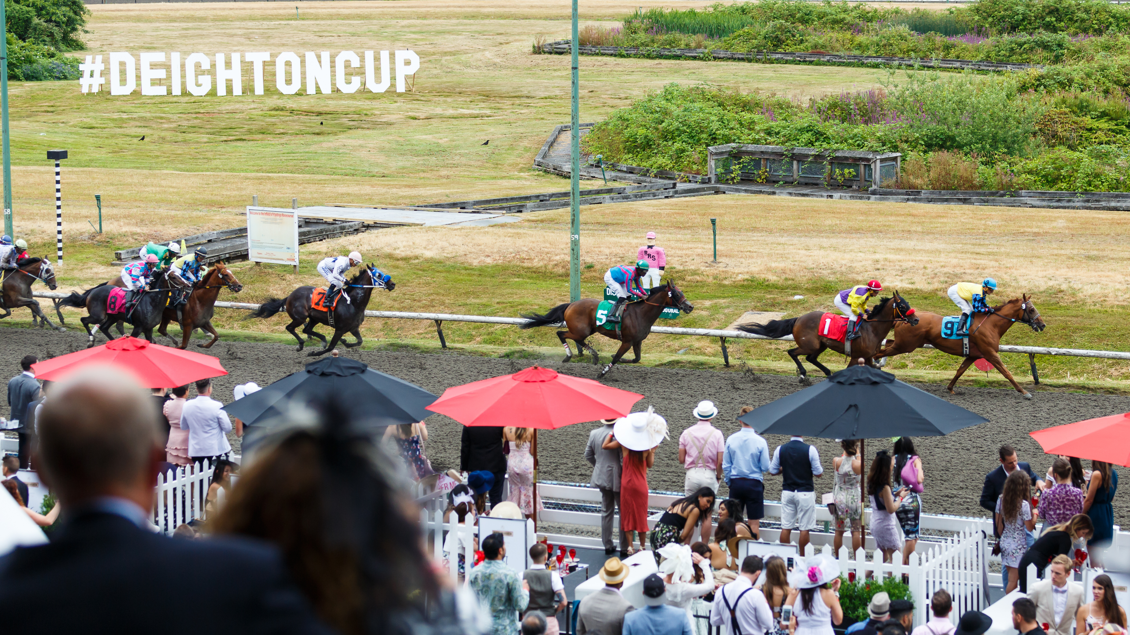 Get Fancy and Celebrate 10 Years of the Deighton Cup